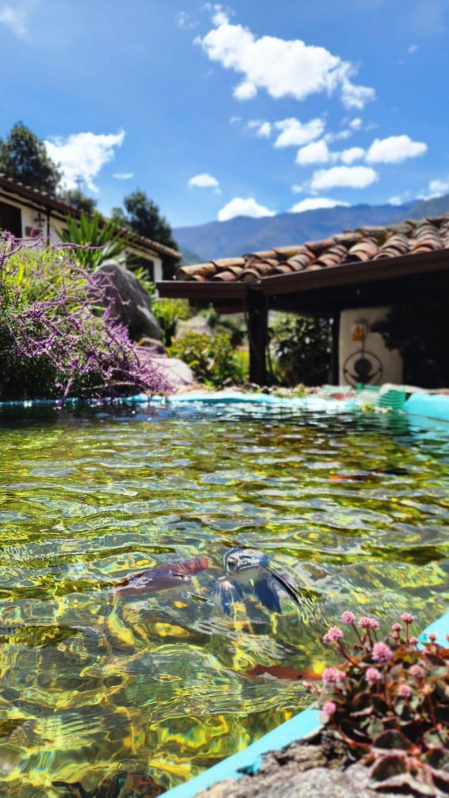 Estancia La Canada Merida ภายนอก รูปภาพ